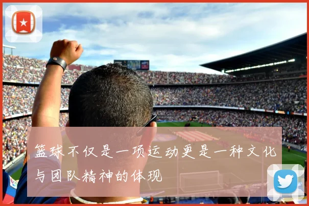 篮球不仅是一项运动更是一种文化与团队精神的体现