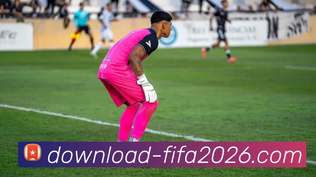 赛程平台生态图